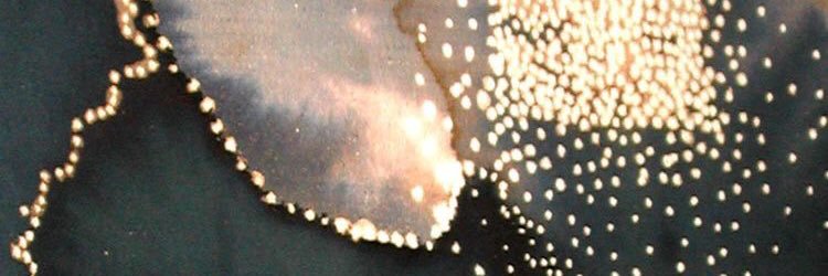 eceekmekci's profile banner image