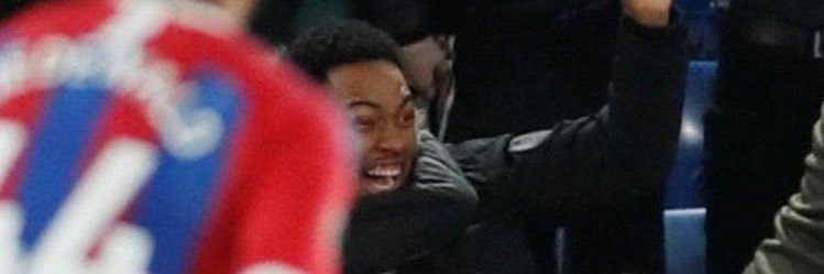 RJ🦅📈 banner