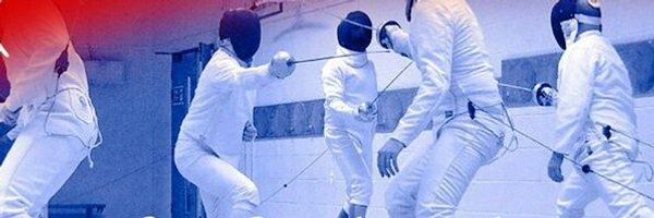 WellingtSwords Profile Banner