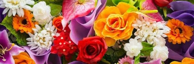 Shine Ruby™ banner