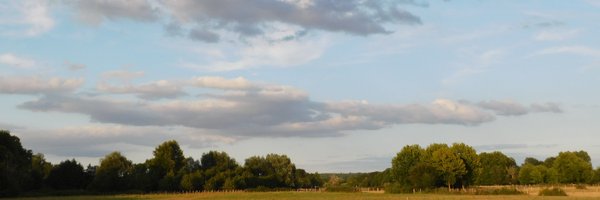 BEALATOUCHE Profile Banner