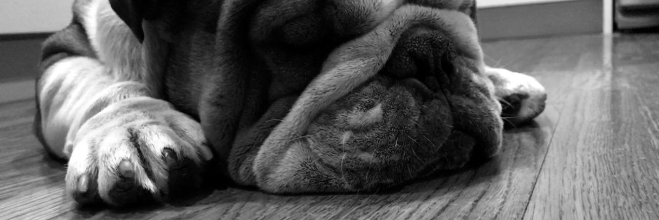 im_madelyn's profile banner image