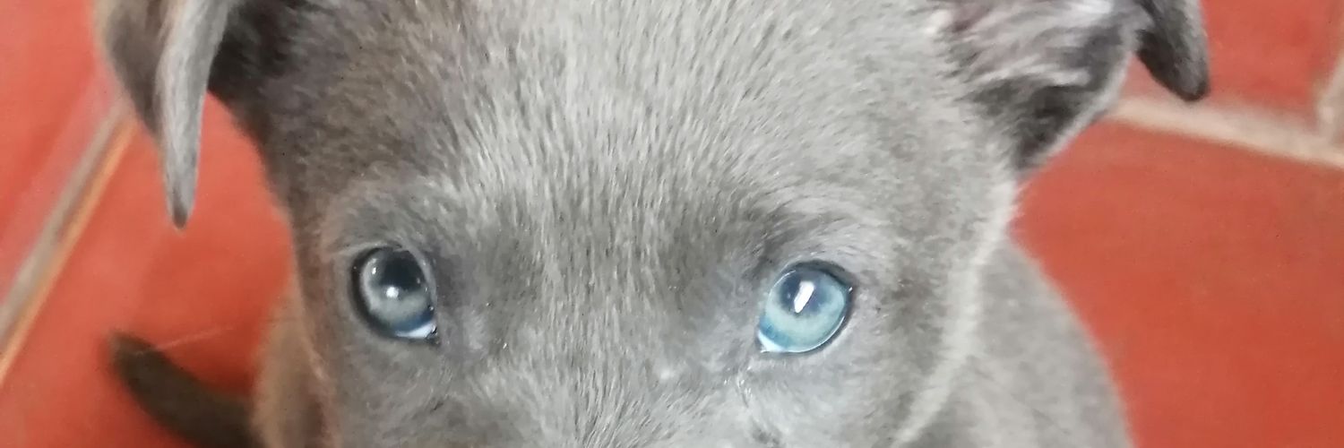 E̷d̷w̷i̷n̷ M̷a̷s̷o̷l̷ banner