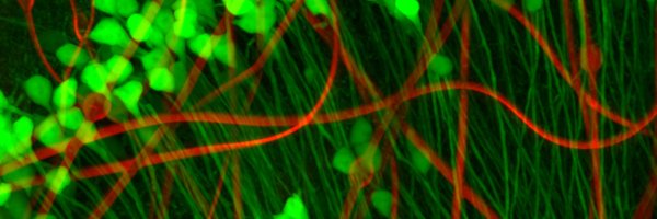 XiaoYang63 Profile Banner