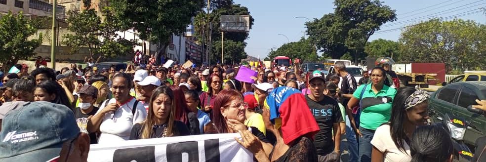 MSc. Mariela Angulo banner