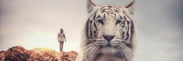Adel77766 Profile Banner