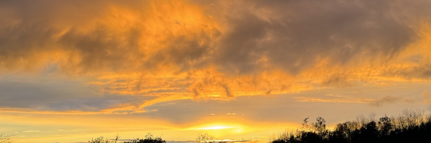 Mark H Pavlidis banner