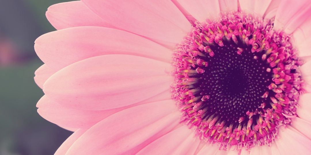 AprilHamm7's profile banner image