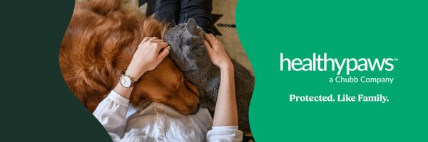 GoHealthyPaws Profile Banner