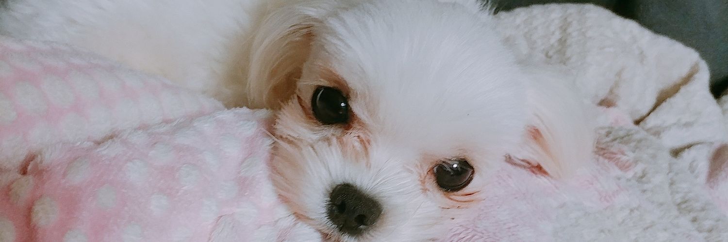 sunwoo2069's profile banner image