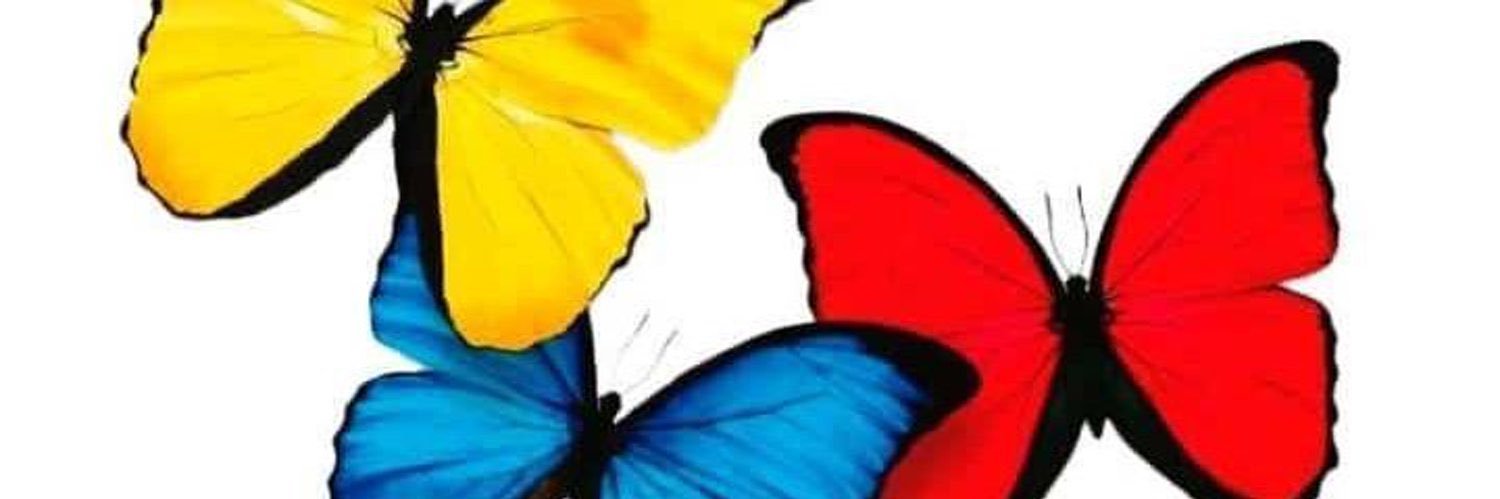 Edwinmcalle's profile banner image