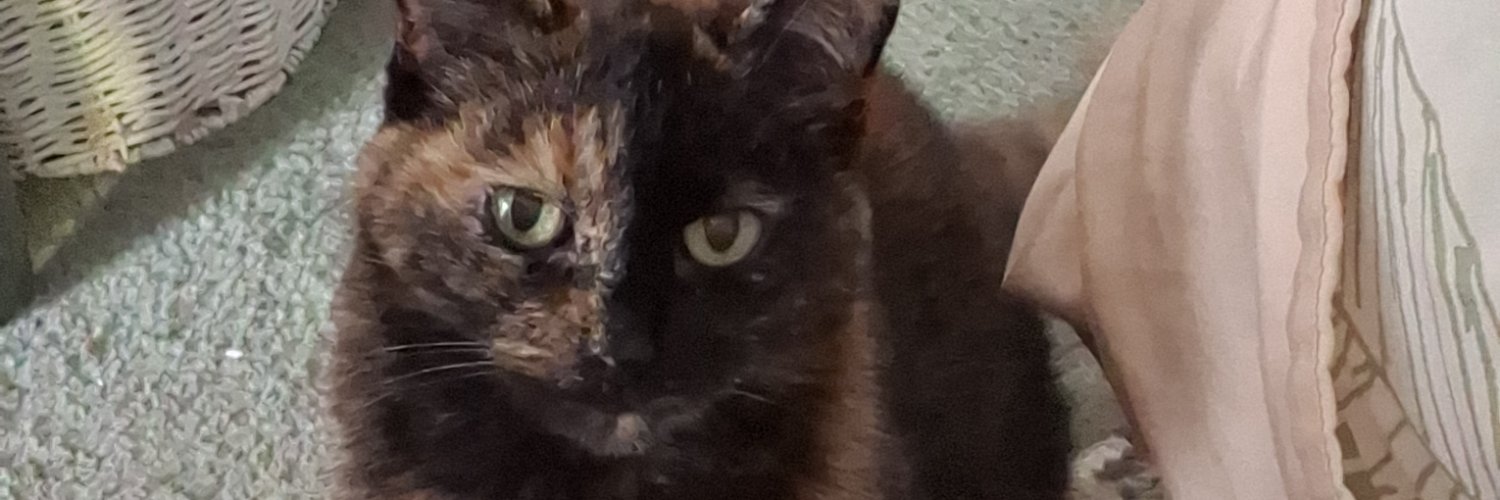 Raqjaq's profile banner image