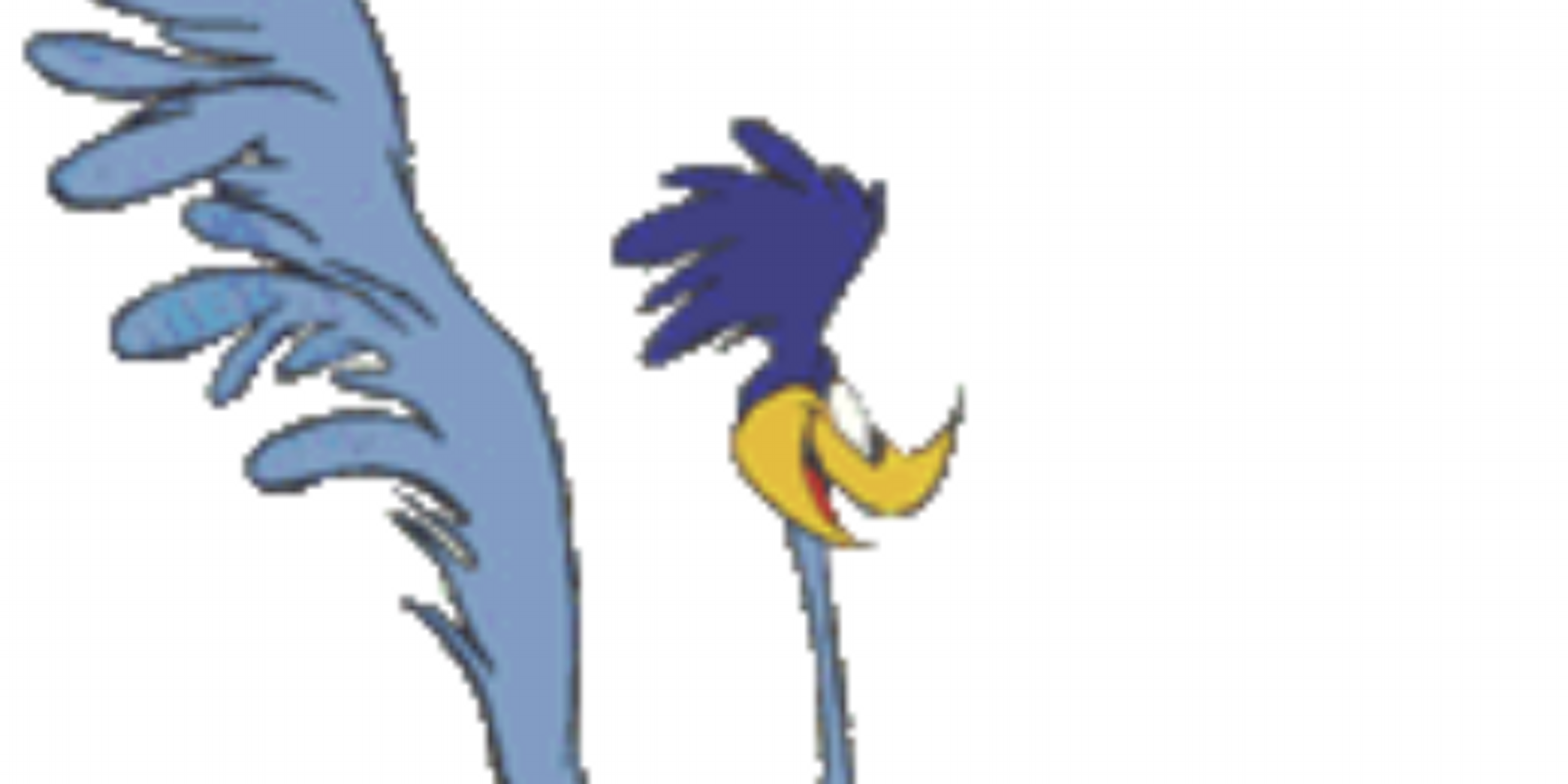 Miep Kaiser-Koonen banner