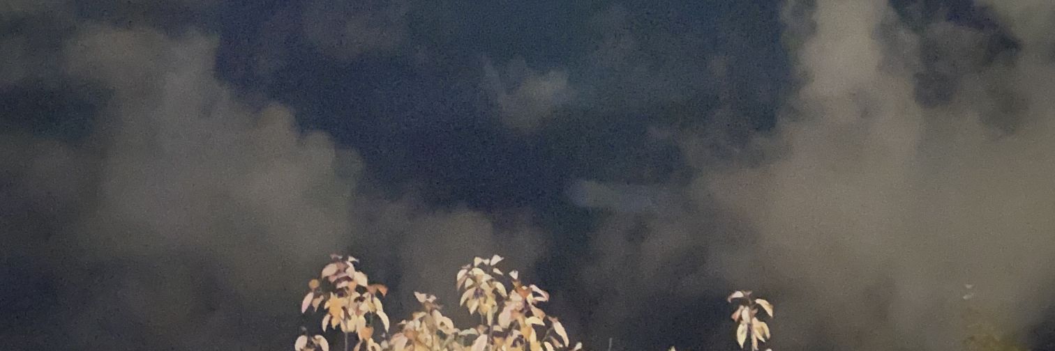 _zak_e's profile banner image