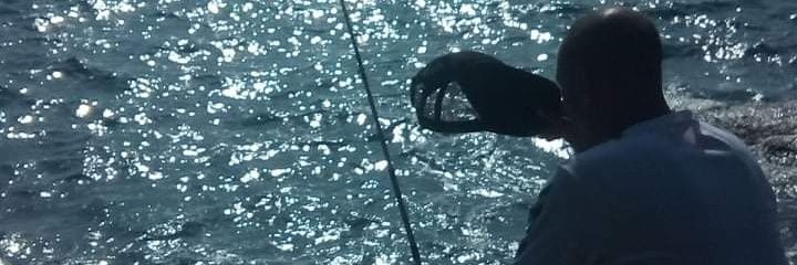 Nabil banner