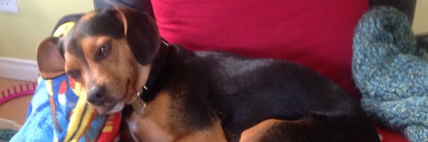 Alainboily Profile Banner