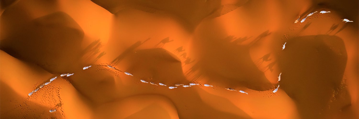 المعتصم بن عبدالملك آل مسعود banner