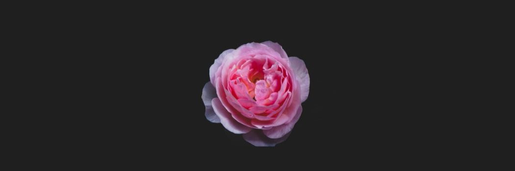 chiaraphoto's profile banner image