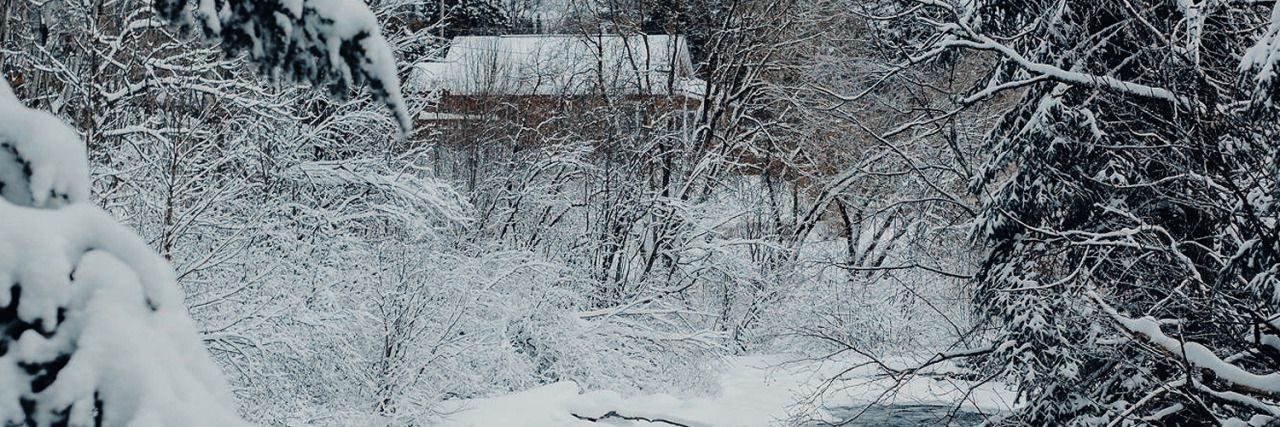 SnxwCaller's profile banner image