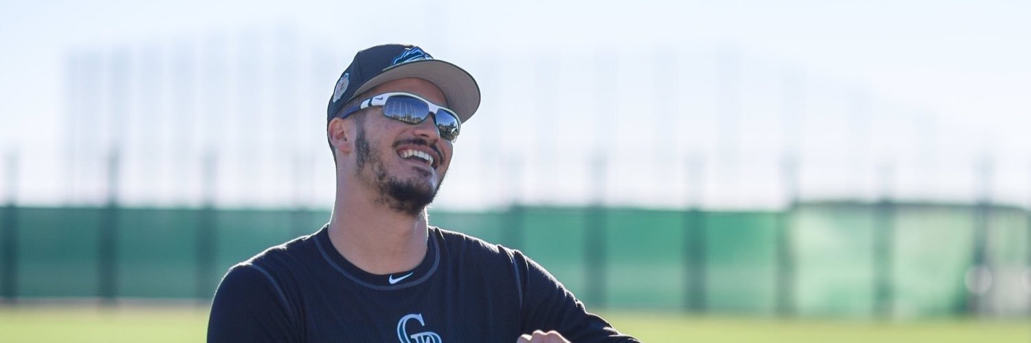 briefs n baseball banner