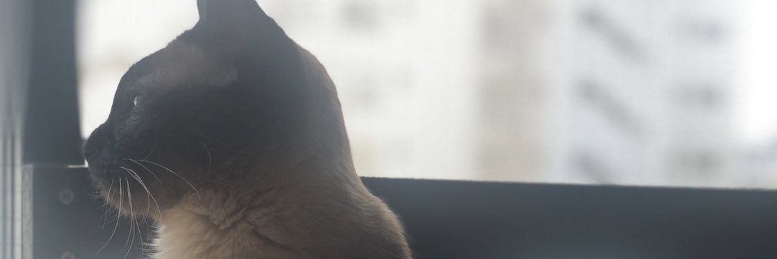 戸塚 真琴 banner