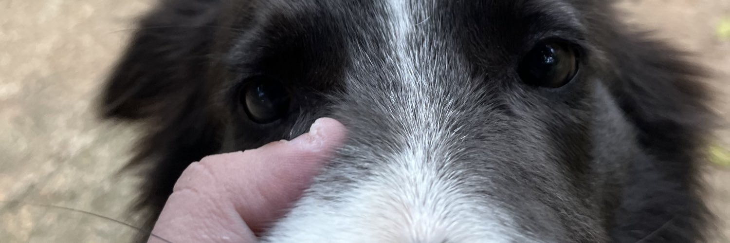 Ruzza fraid of little old renault || ❤️‍🔥🥂 banner