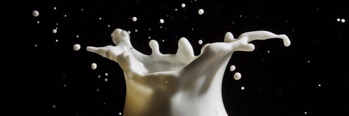 Masters of Cum banner