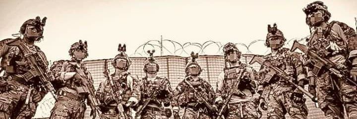 Susan Burroughs banner