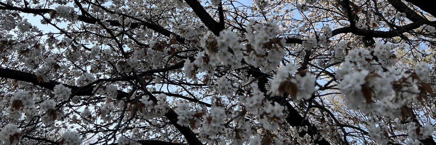 びっきぃ。(メンタルたまご豆腐)'s banner