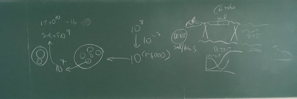 Stefan Pukatzki banner