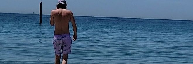 Harry Rees 🏴󠁧󠁢󠁥󠁮󠁧󠁿 banner