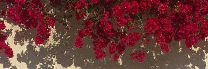 GoodforyouBy's profile banner image