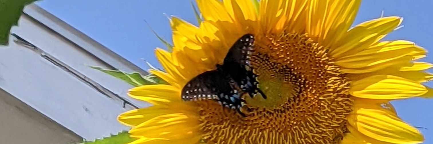 htruo21's profile banner image