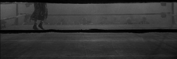 calscott6 Profile Banner