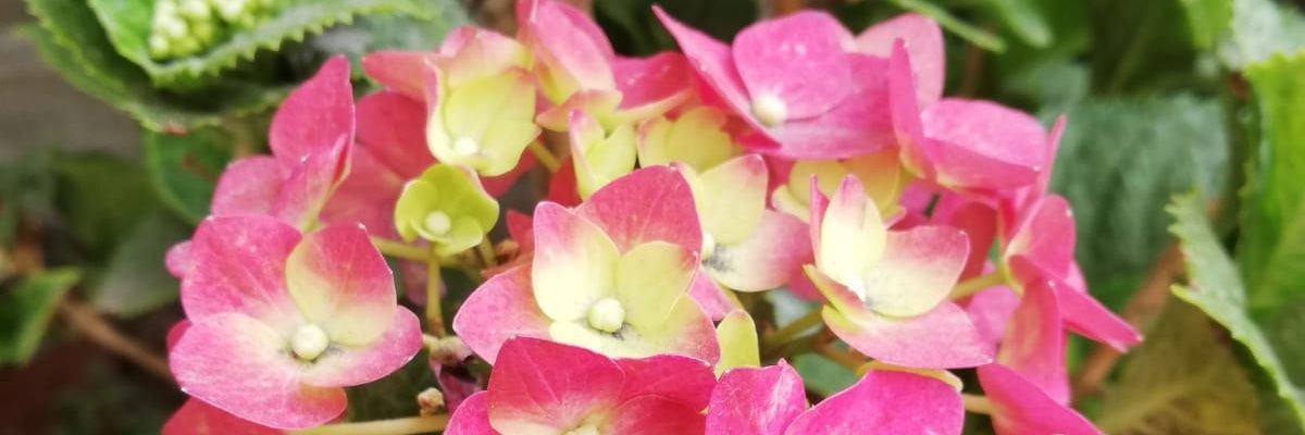 j_saynes's profile banner image