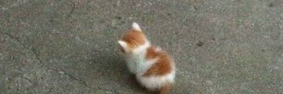 𖹭Crislita𖤐⭒๋࣭⭑🫰🏼☺️ banner