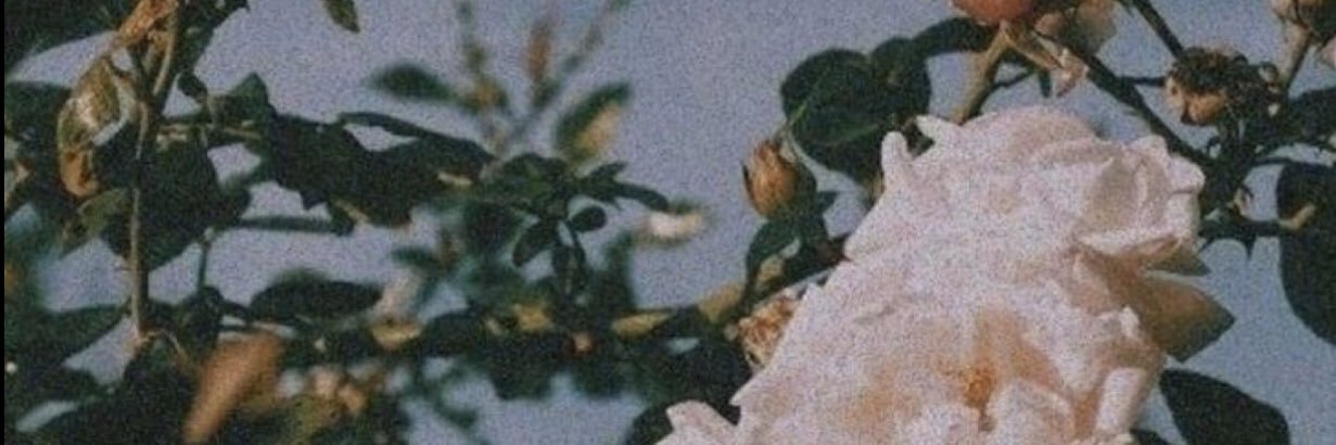 Melrodriguez__'s profile banner image