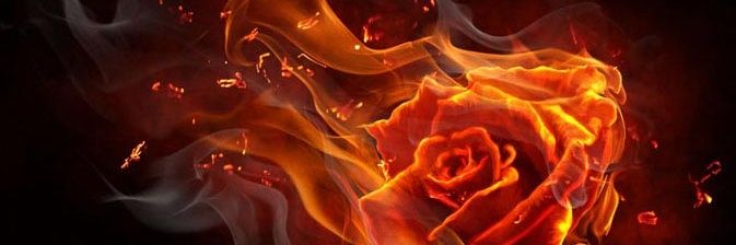 ᚱo ⚡THOᚱCHунакрипте 👔 banner