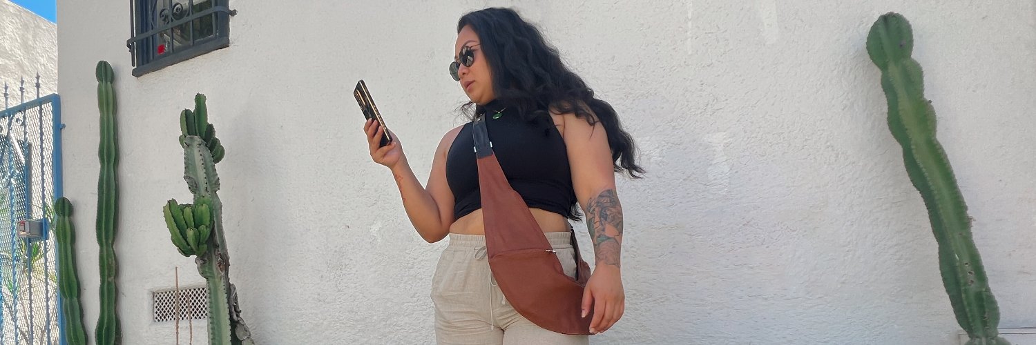 TheSashBag's profile banner image