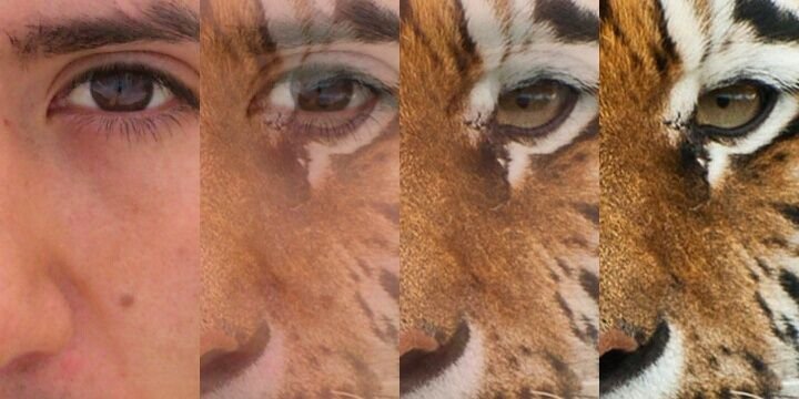 Cesarionni's profile banner image