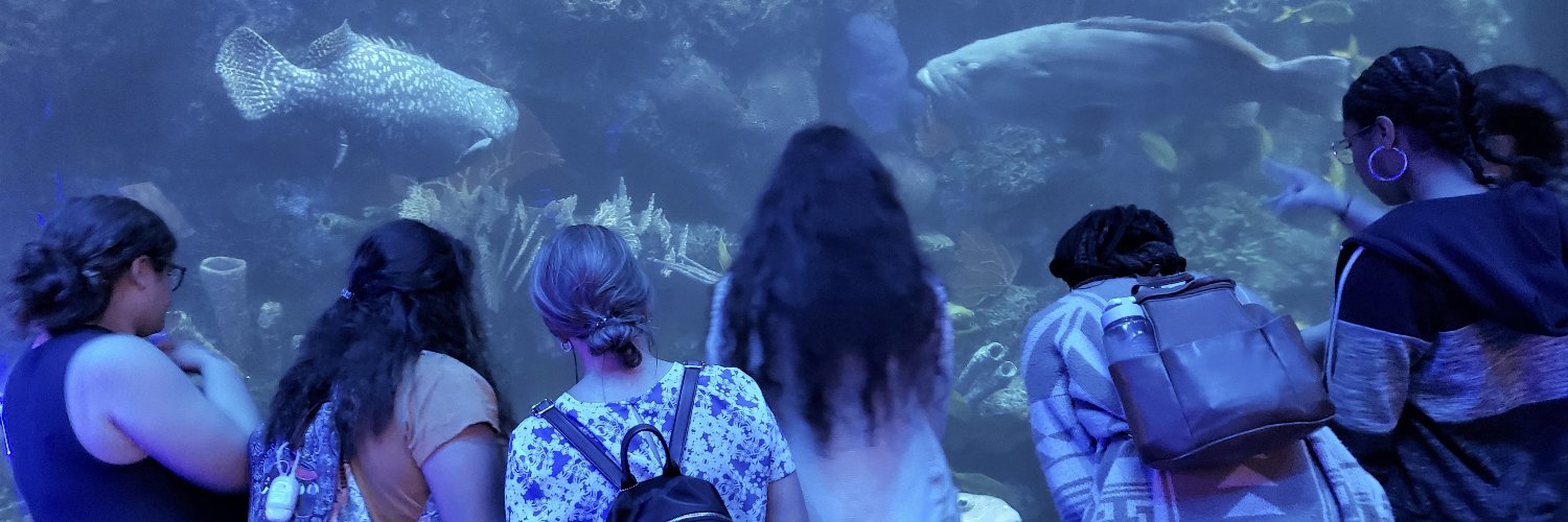 The Covering House banner