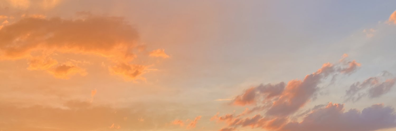 maddythib_'s profile banner image