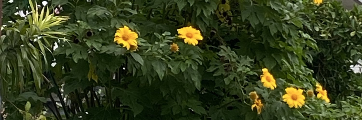 x - s.| penguins hockey brainrot banner