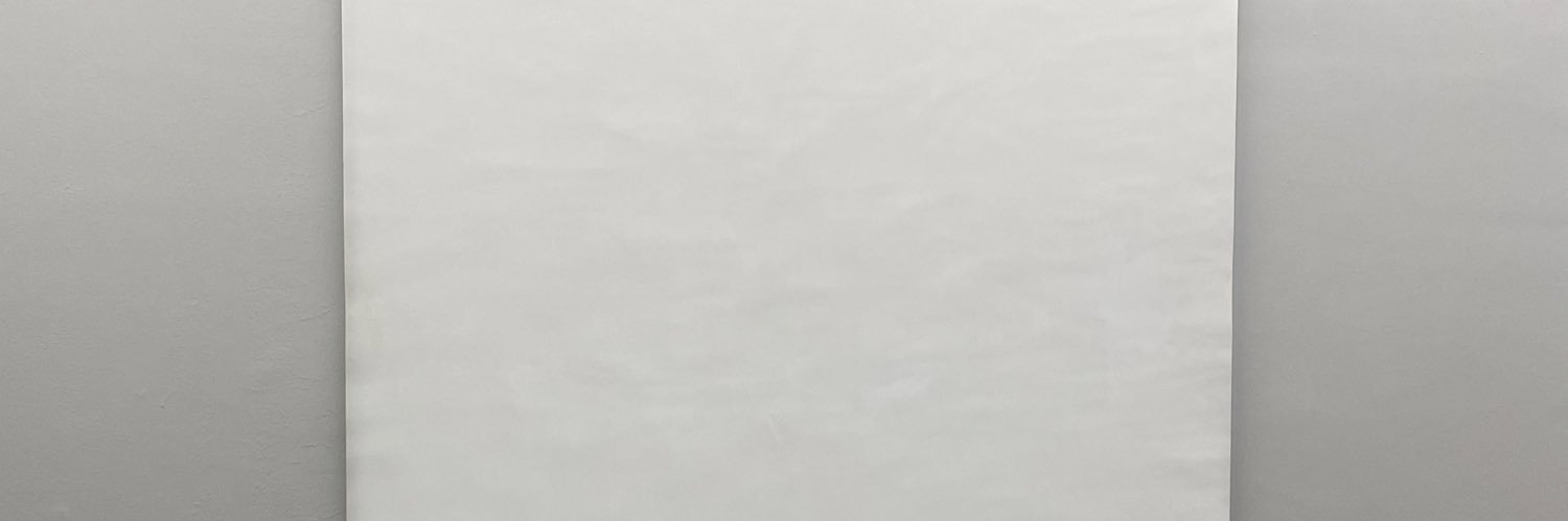 一条长颈鹿 banner