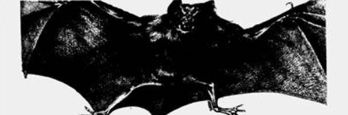bigmuffson's profile banner image