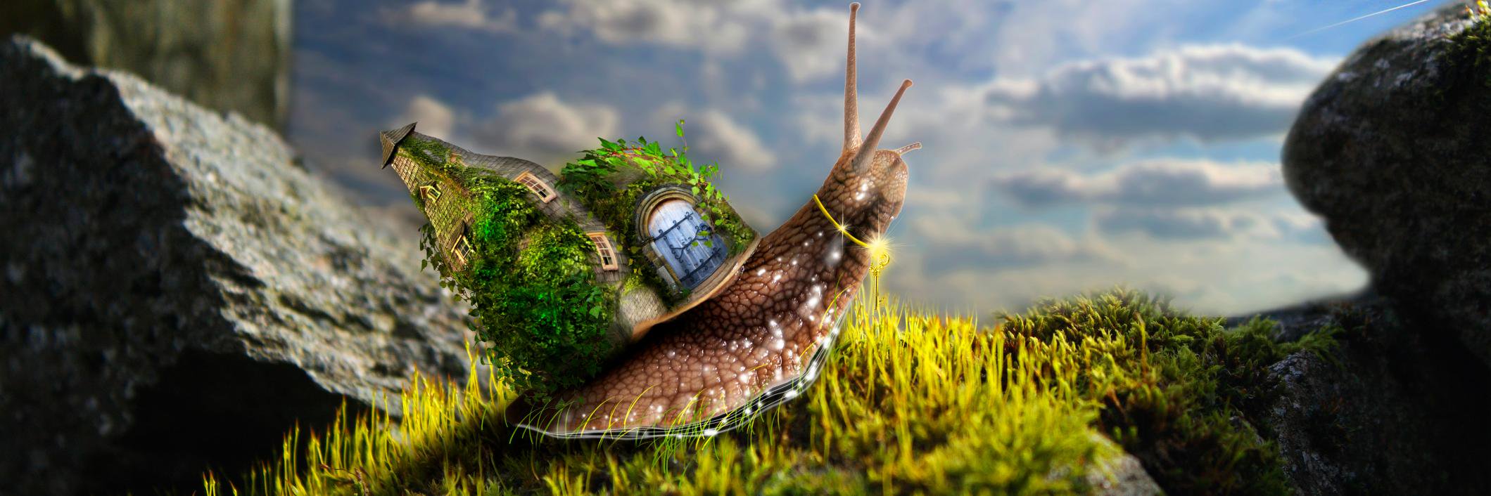 Fire in the asshole banner