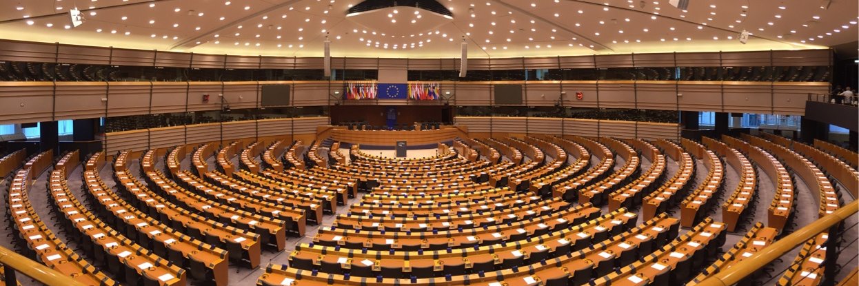 Feo Snagovsky banner