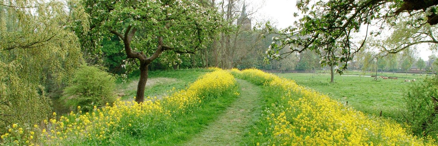 wandelzoek's profile banner image