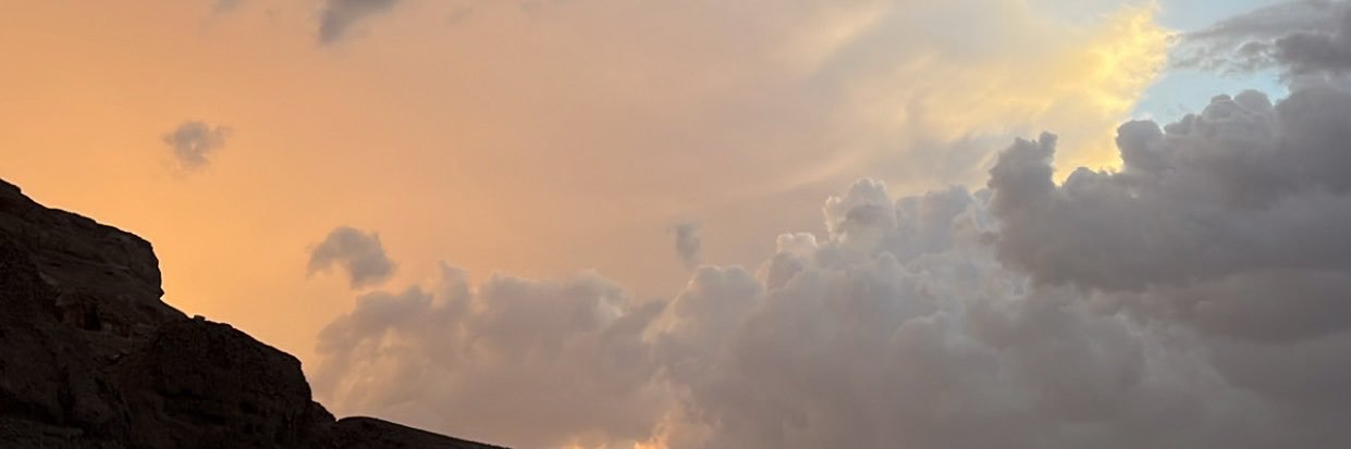 IIDKSII's profile banner image