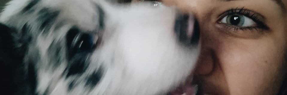 adriancaroline's profile banner image